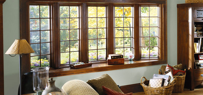 Bay/Bow Replacement Windows