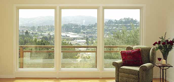 Picture/Combination Replacement Windows