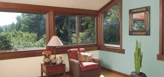 Picture/Combination Replacement Windows