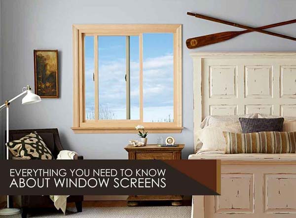 Everything You Need To Know About Window Screens