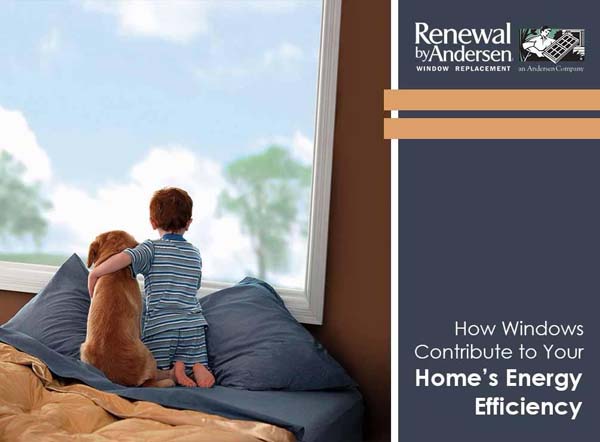 How Windows Contribute to Your Home’s Energy Efficiency