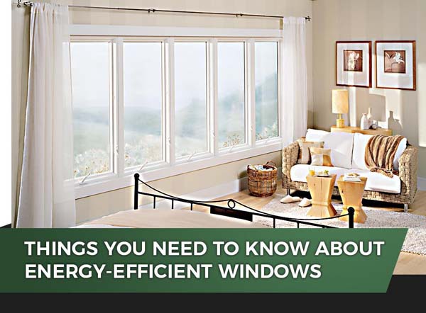 Things You Need To Know About Energy Efficient Windows