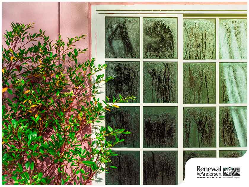 Are Your Windows Feeling a Little Drafty?
