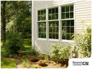 How Getting New Windows Can Help You Go Green