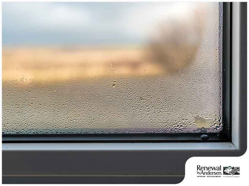 Do You Have Broken Window Seals?