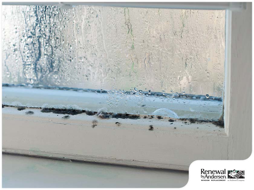Smart Ways To Prevent Mold Growth On Window Casings