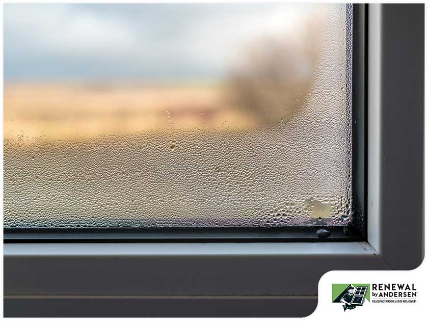 What You Should Know About Summer Window Condensation